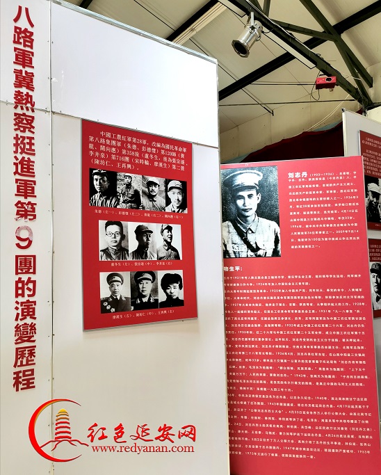 9集团.jpg