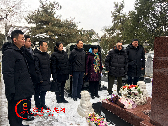 图片15.png